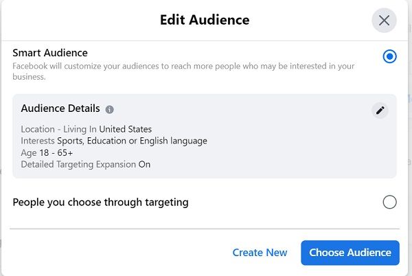 Step 4: Preview & Customize Your Ads - DSers